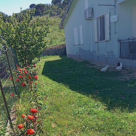 Villetta San Giovanni Калатафими Екстериор снимка