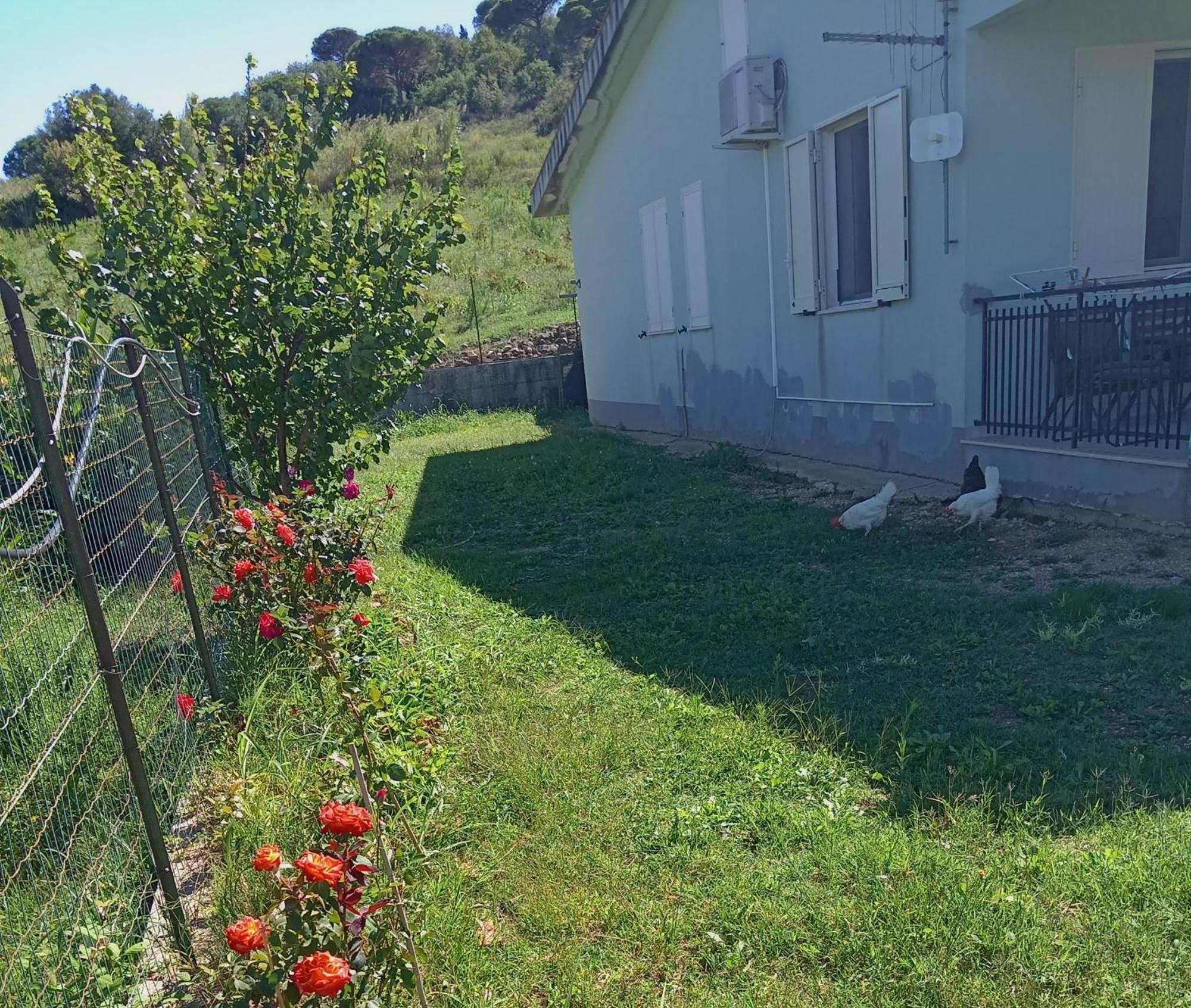 Villetta San Giovanni Калатафими Екстериор снимка